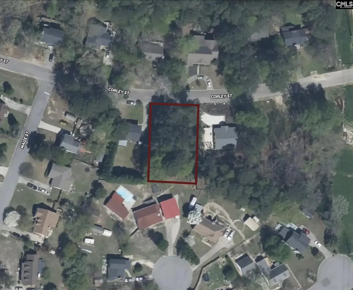 1008 Corley Street, Lexington, SC 29072 - #1