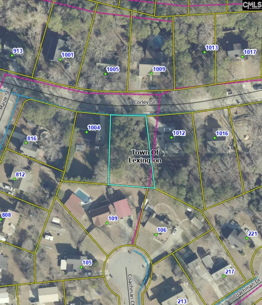 1008 Corley Street, Lexington, SC 29072 - #2