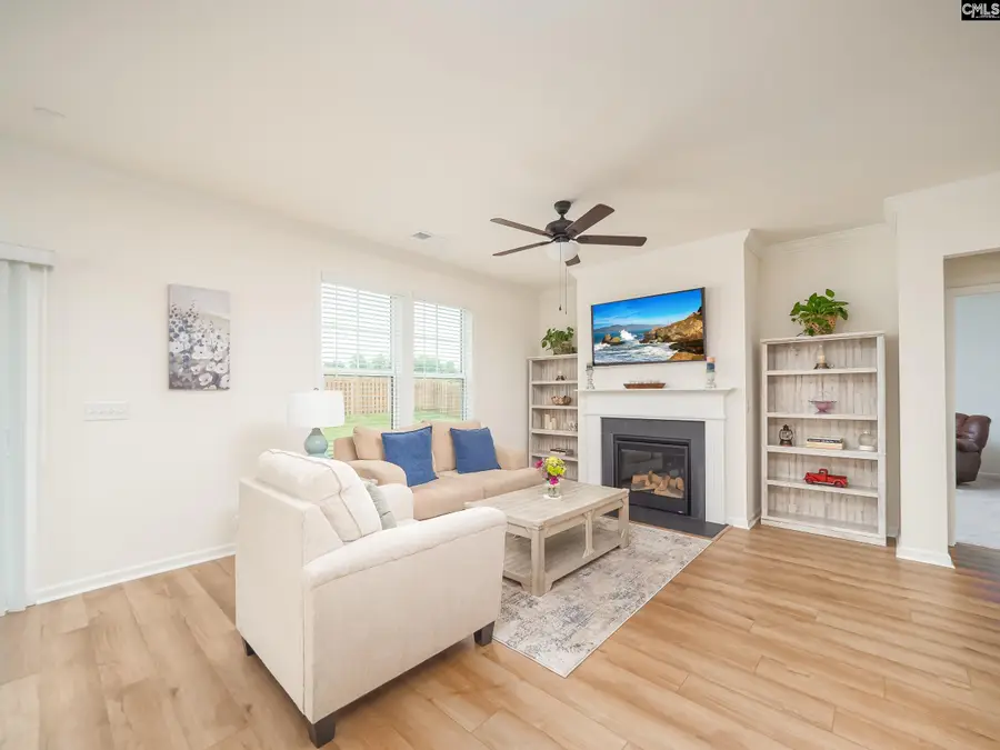 133 Dew Blossom Drive, Lexington, SC 29073 - #2