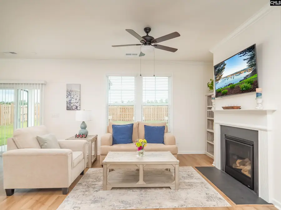 133 Dew Blossom Drive, Lexington, SC 29073 - #3