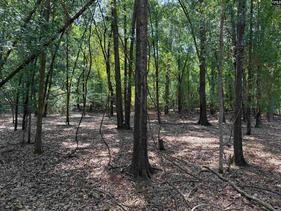 2361 Shedrick Street, Camden, SC 29020 - #2