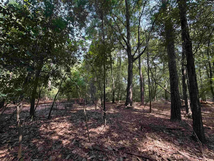 2361 Shedrick Street, Camden, SC 29020 - #3