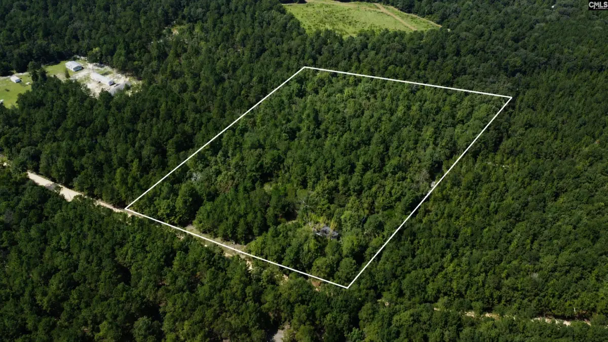 196 Brandy Road, Wagener, SC 29164 - #1