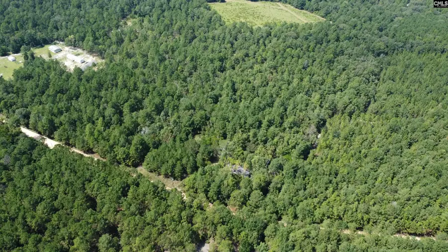 196 Brandy Road, Wagener, SC 29164 - #2