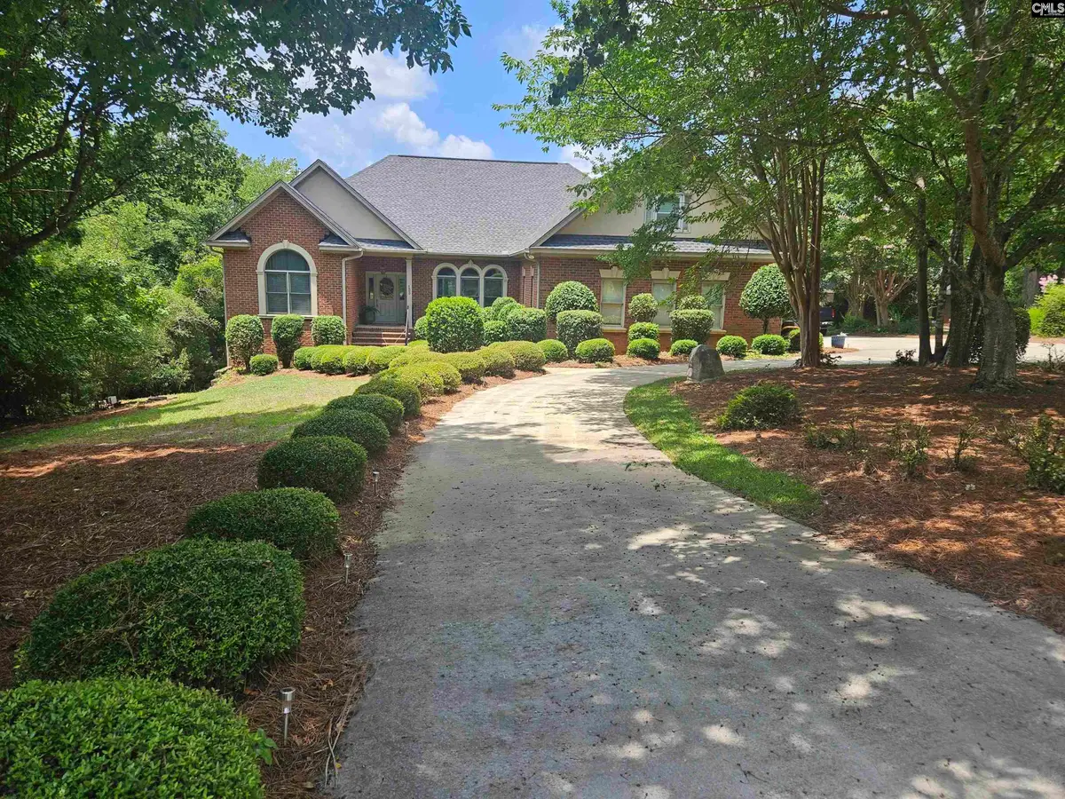 133 Hilton View Drive, Chapin, SC 29036 - #1