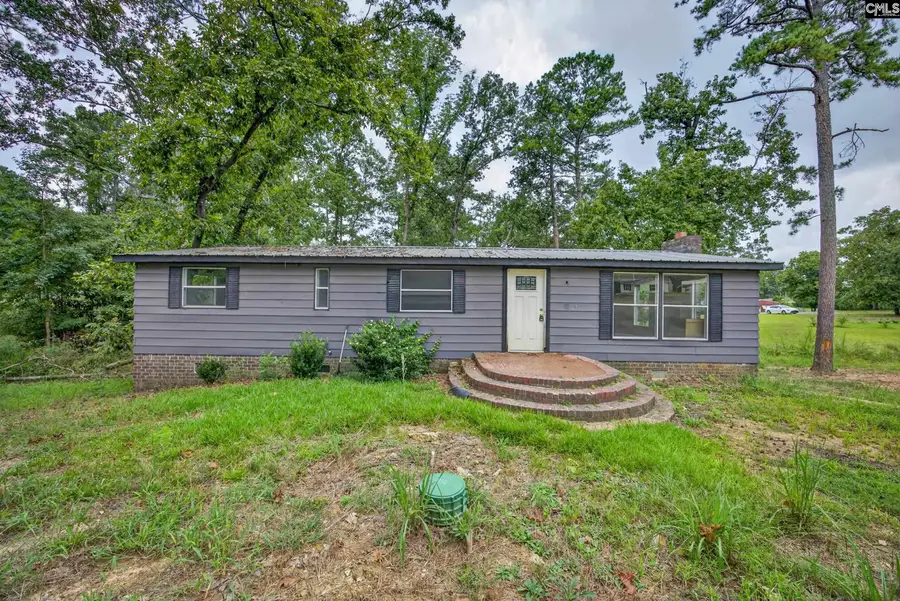 3249 Driftwood Point Road, Gilbert, SC 29054 - #2