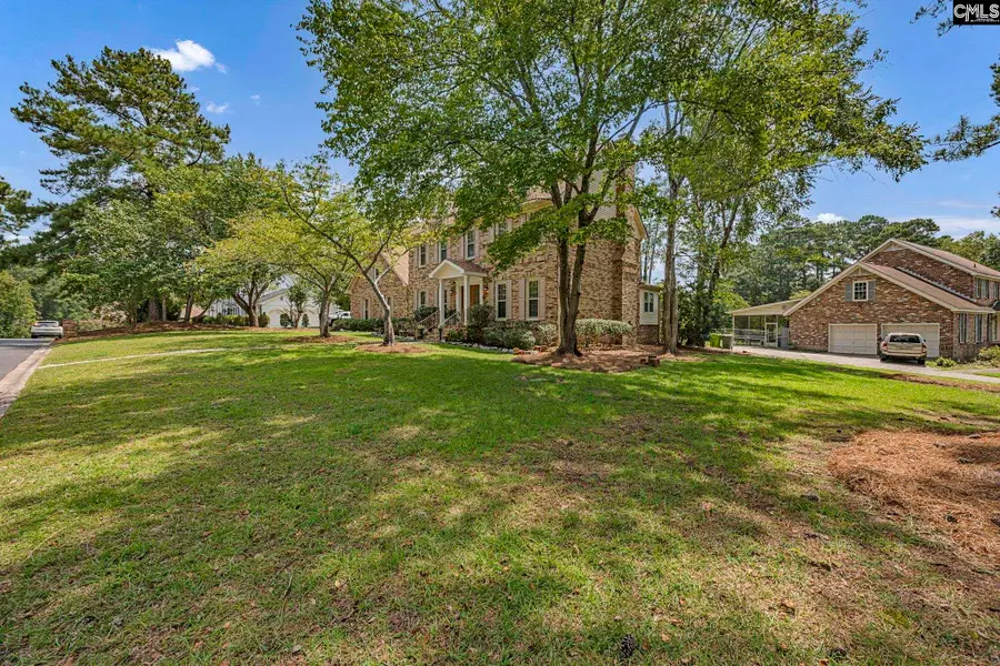 228 Brookspring Road, Columbia, SC 29223 - #3