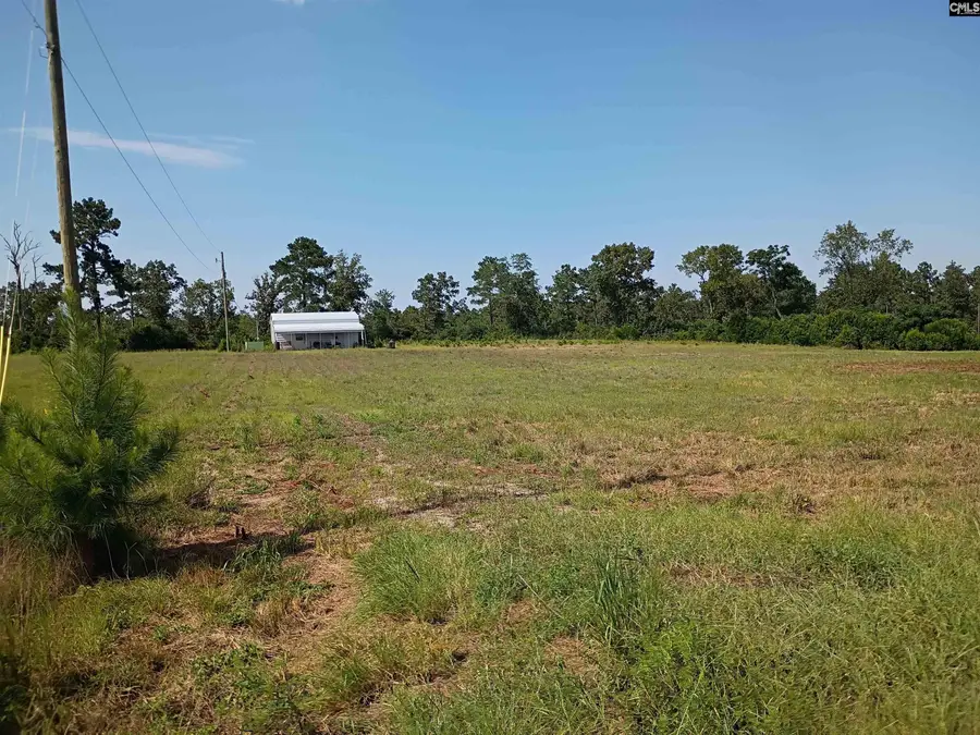 115 Mt. Calvary Road, Trenton, SC 29847 - #2