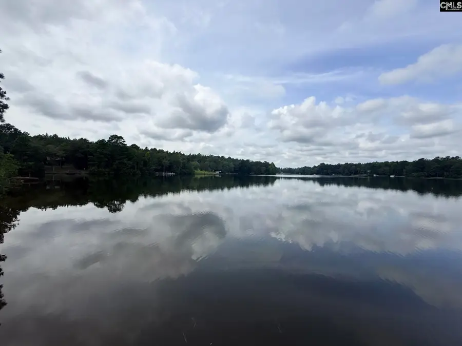 731 Edisto Lake Road, Wagener, SC 29164 - #3