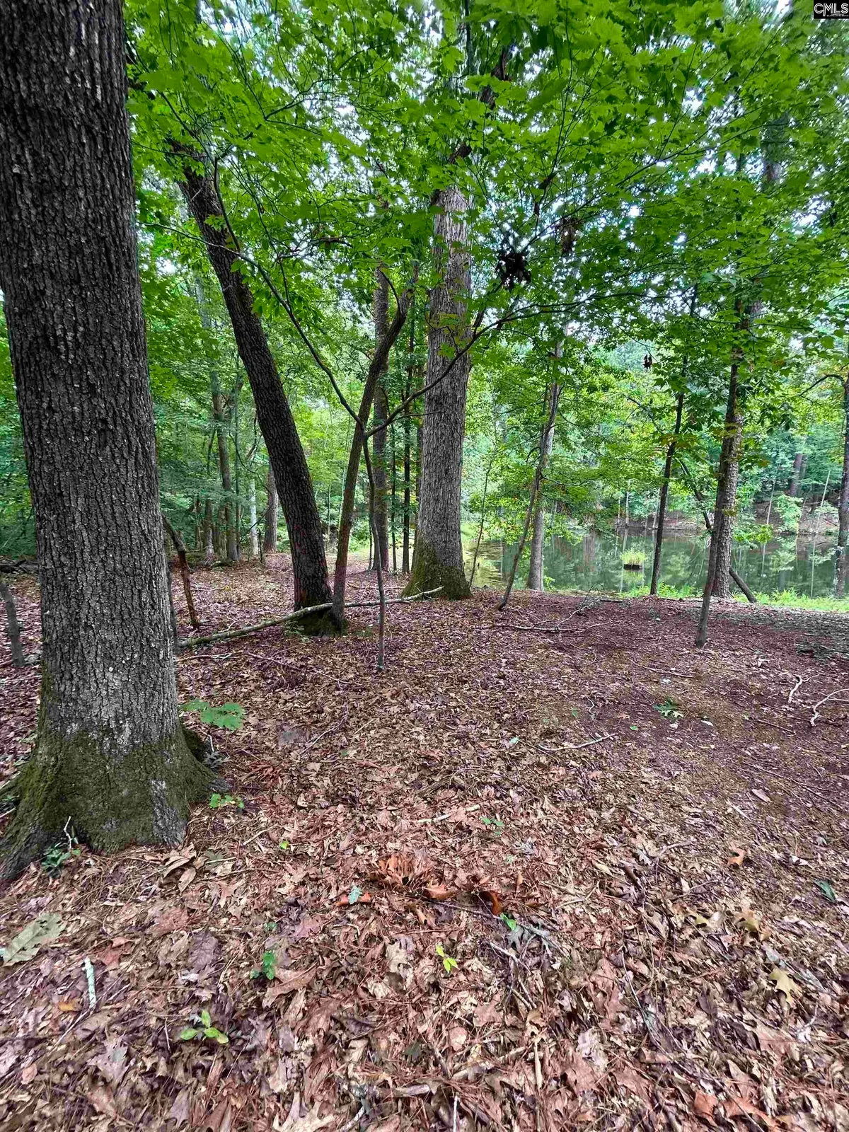 0 Pinewood Drive #Parcel B, Chapin, SC 29036 - #1