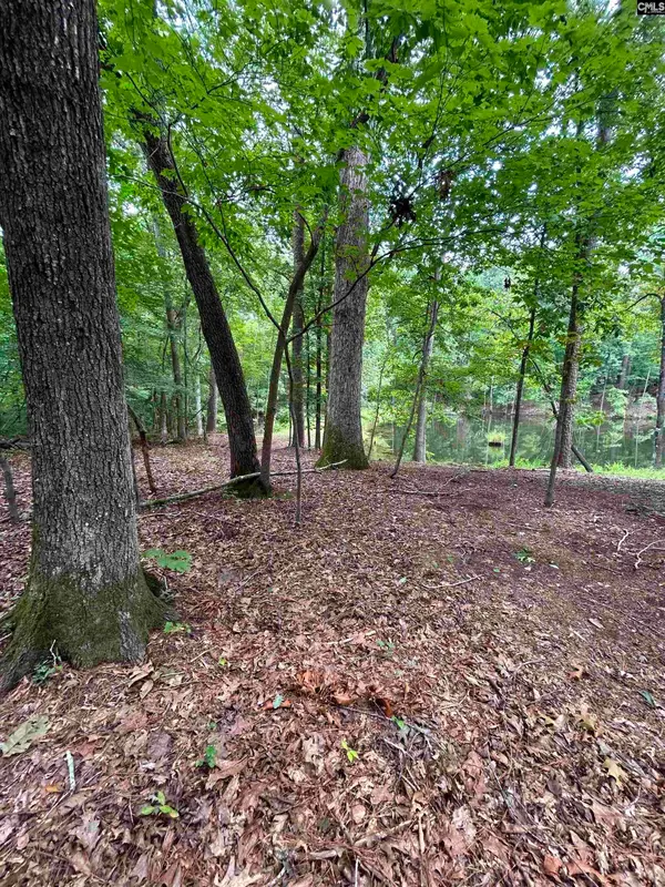 0 Pinewood Drive #Parcel B, Chapin, SC 29036