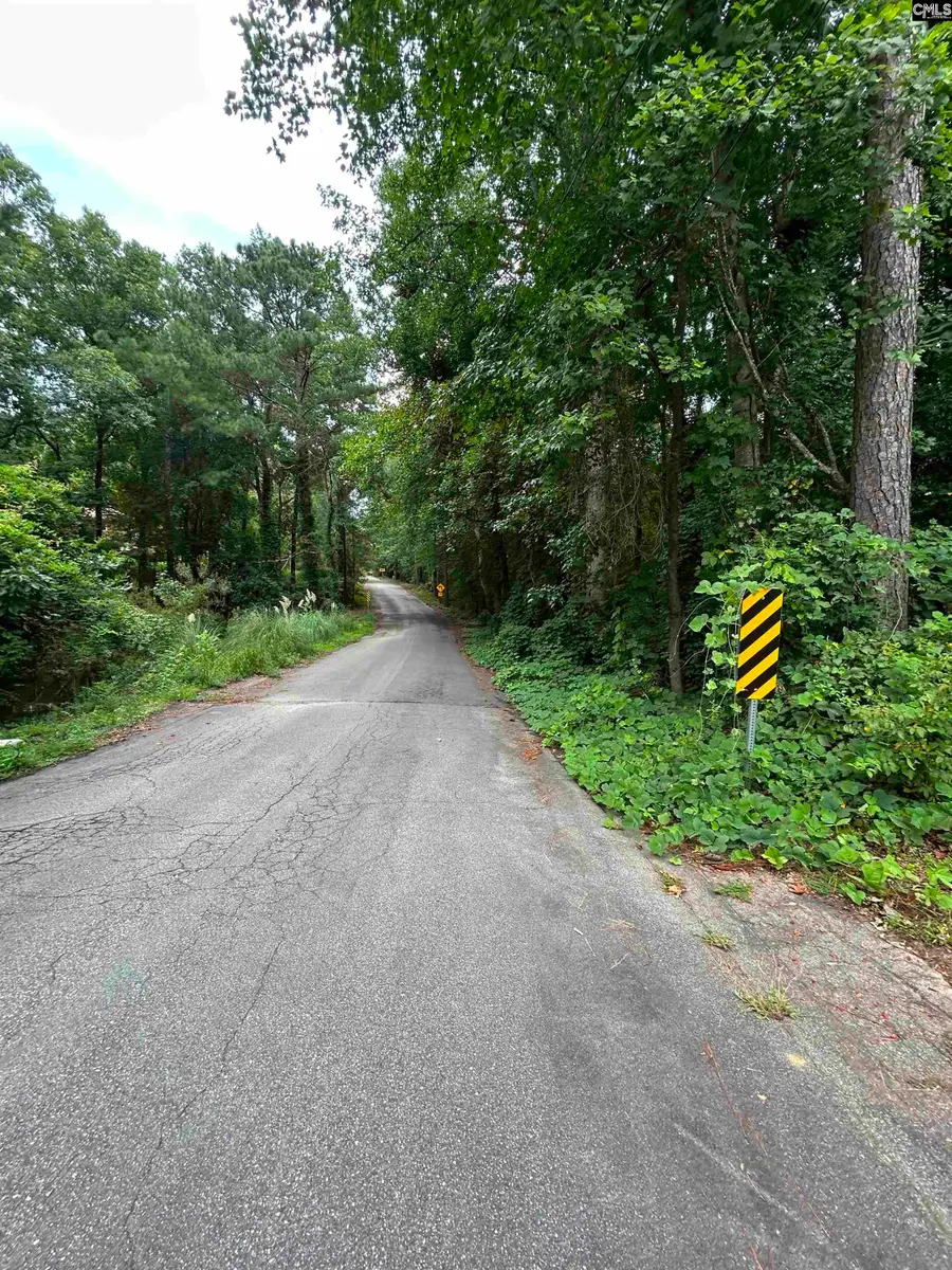 0 Pinewood Drive #Parcel B, Chapin, SC 29036 - #2