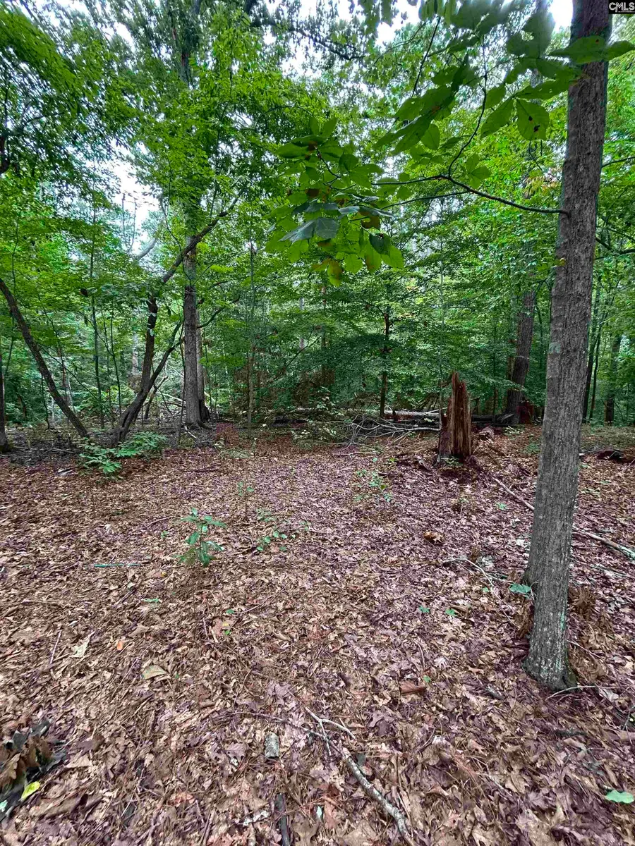 0 Pinewood Drive #Parcel B, Chapin, SC 29036 - #3