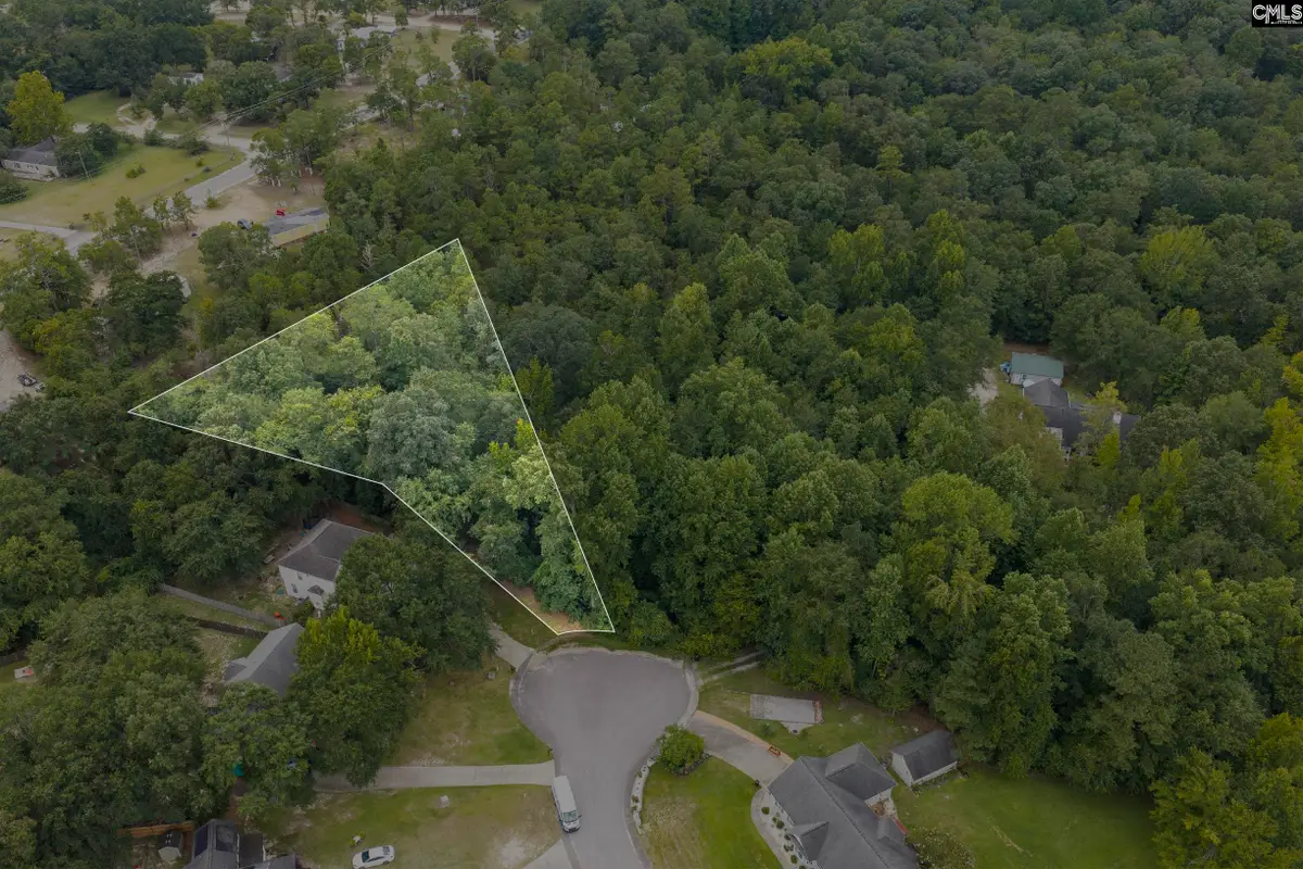 119 Painted Pony Court, Elgin, SC 29045 - #1