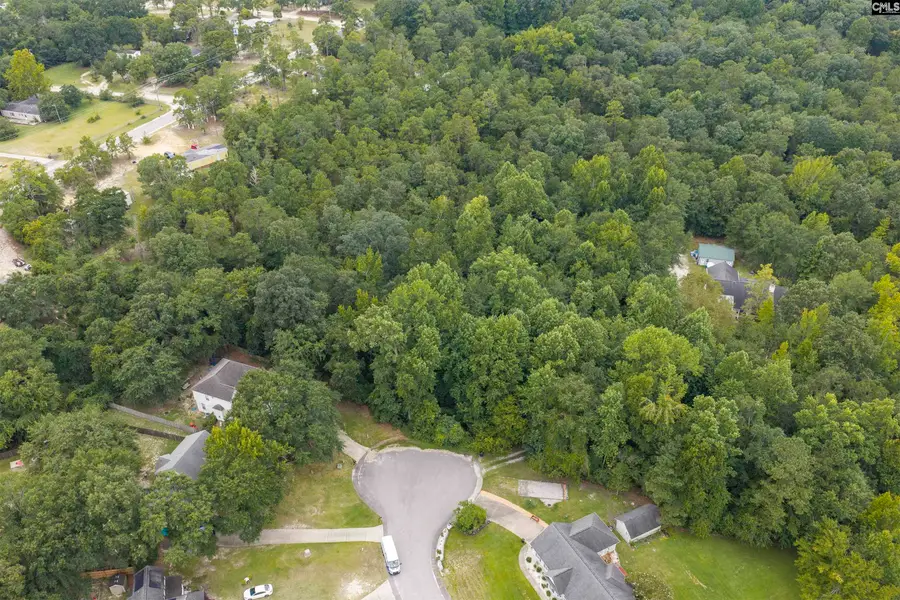 119 Painted Pony Court, Elgin, SC 29045 - #2
