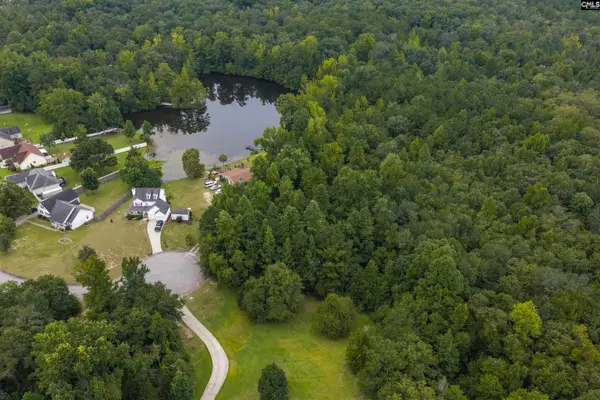 223 Painted Pony Court, Elgin, SC 29045