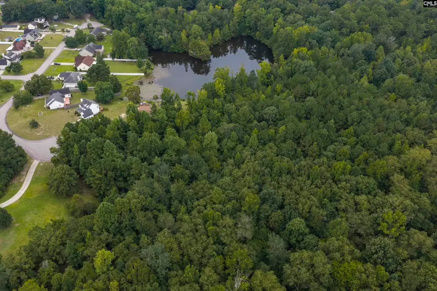 223 Painted Pony Court, Elgin, SC 29045 - #2