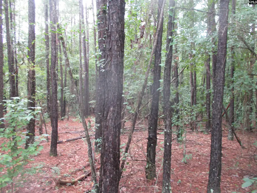 270 Clearwater Road, Camden, SC 29020 - #2