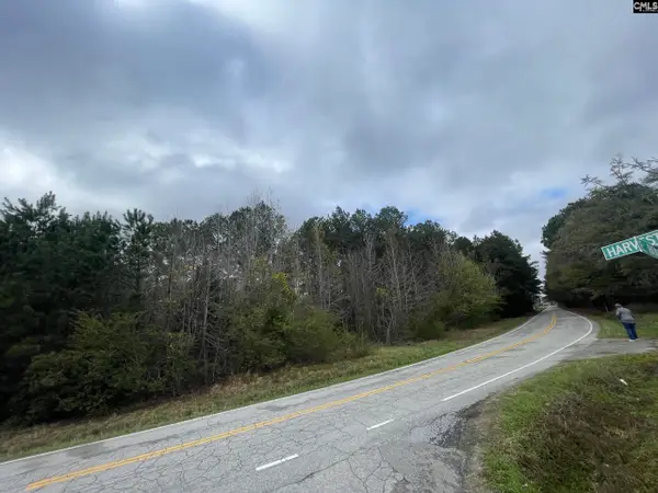 000 E Boundary Street, Chapin, SC 29036