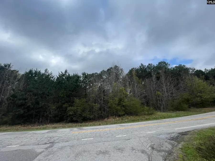 000 E Boundary Street, Chapin, SC 29036 - #3