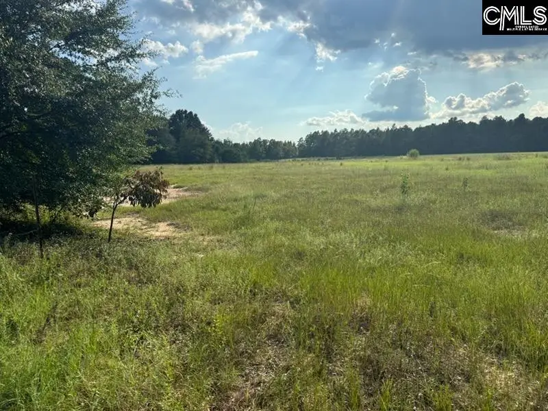 0 Mary Rawls Road, Wagener, SC 29164 - #3