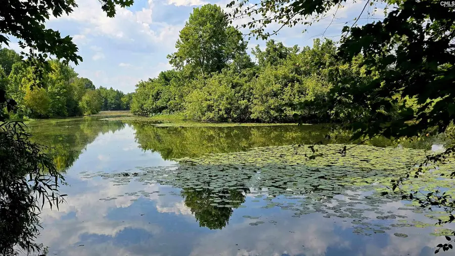 188 Wild Turkey Lane, Camden, SC 29020 - #3