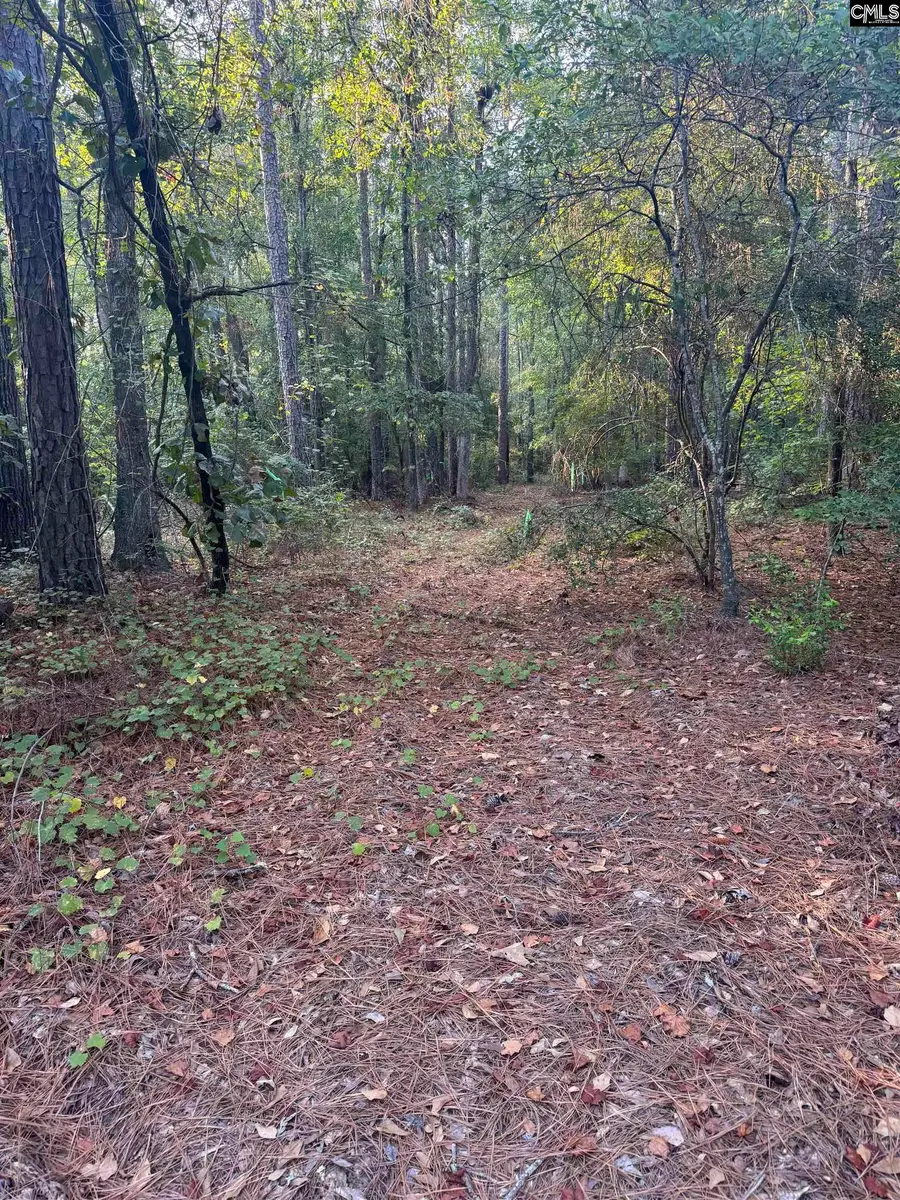1336 Colie Branham Road, Lugoff, SC 29078 - #3