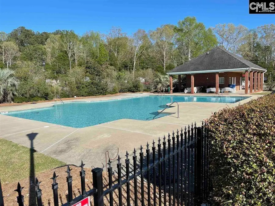 237 Bent Oak Drive, Chapin, SC 29036 - #2