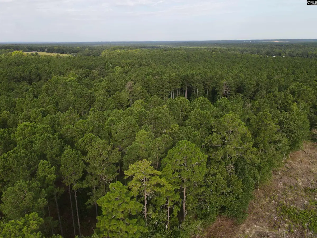 Tract 2 Bridle Path Road, Camden, SC 29020 - #1