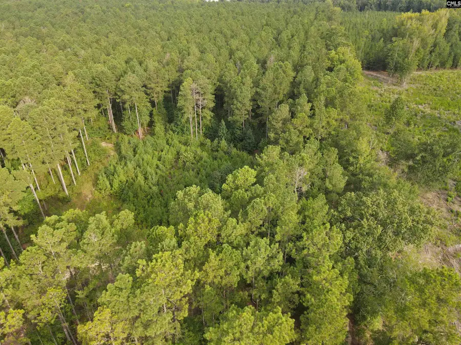Tract 2 Bridle Path Road, Camden, SC 29020 - #3