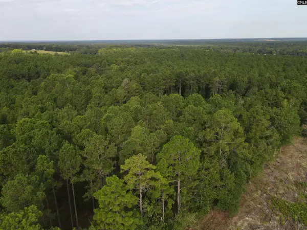 Tract 4 Bridle Path Road, Camden, SC 29020