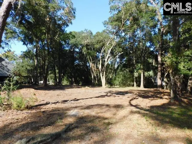 8139 Murphy Creek Court, Edisto Island, SC 29438 - #2