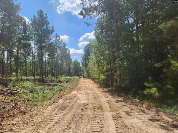 Tract 1 Hoke Road, Heath Springs, SC 29058