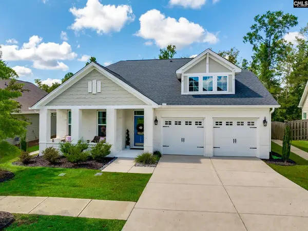709 Ruskin Drive, Chapin, SC 29036