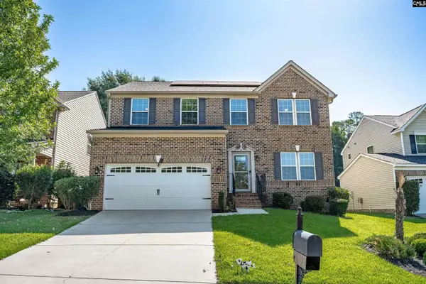 181 Palm Street, Chapin, SC 29036