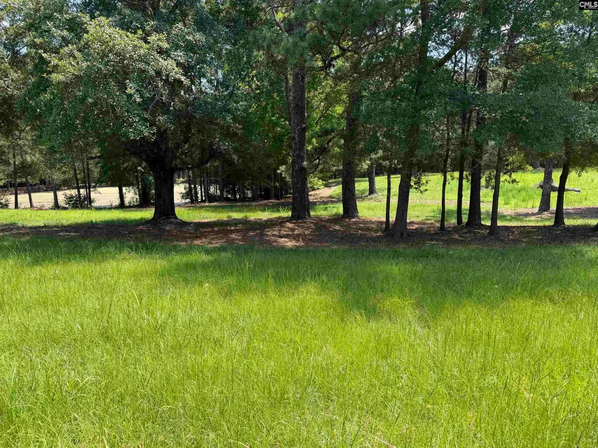 812 NE Sandfield Road, Blythewood, SC 20916 - #1