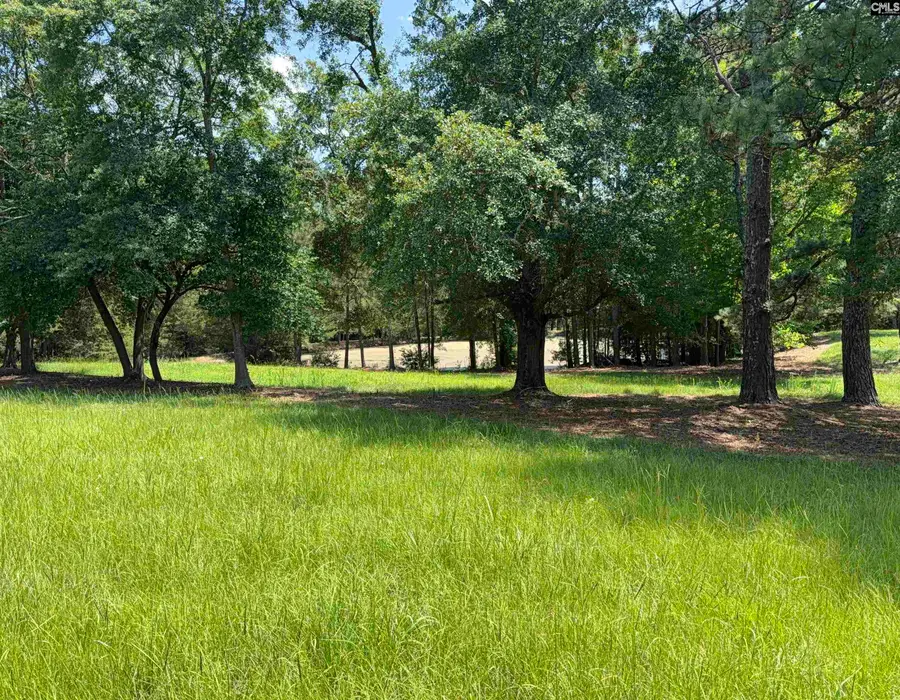 812 NE Sandfield Road, Blythewood, SC 20916 - #2