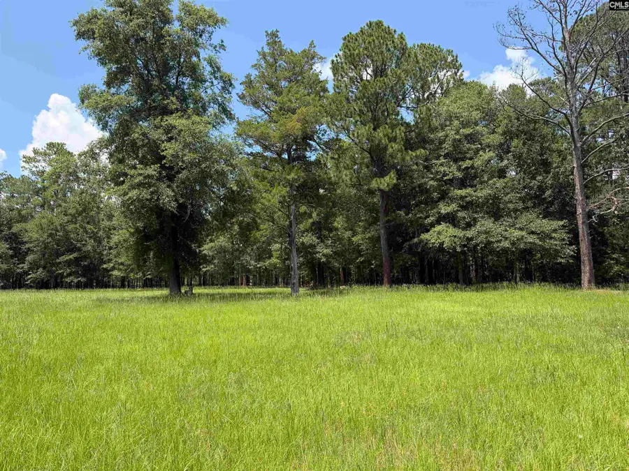 812 NE Sandfield Road, Blythewood, SC 20916 - #3