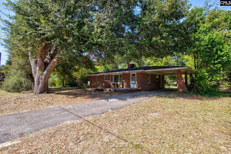 207 Hampton Street, Bethune, SC 29009 - #2