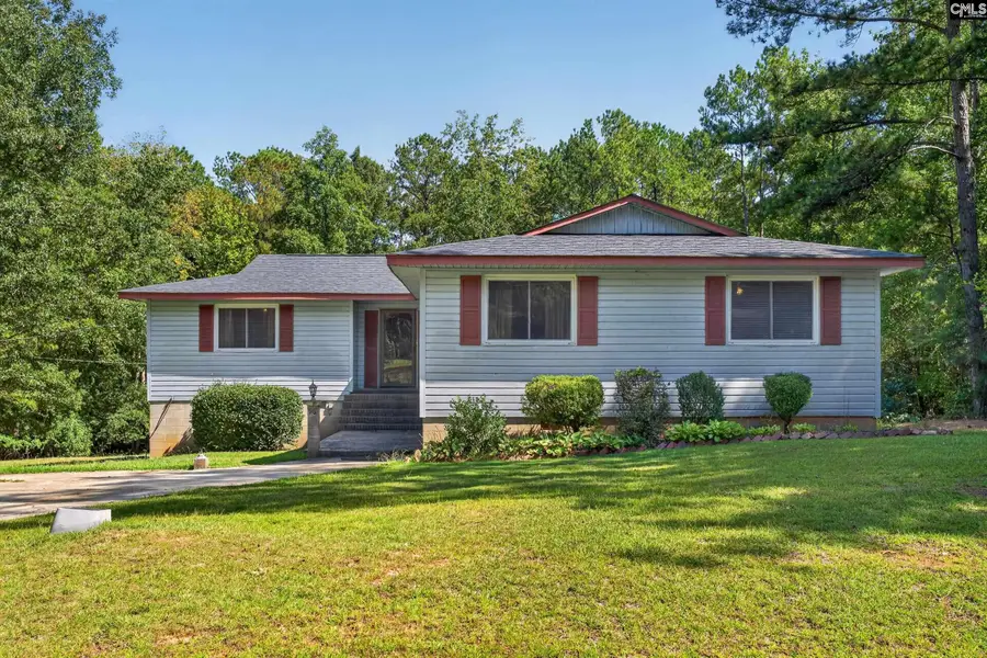96 Old Dutch Road, Little Mountain, SC 29075 - #3