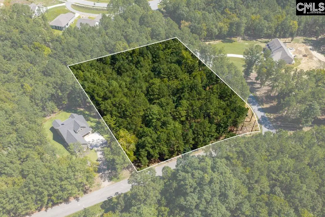 Lot 205 Peninsula Drive, Prosperity, SC 29127 - #1