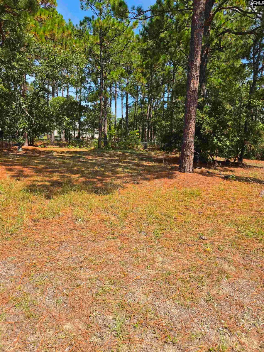 220 Branch Hill Drive, Elgin, SC 29045 - #3