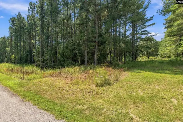 0 Lavinia Lane, Winnsboro, SC 29180