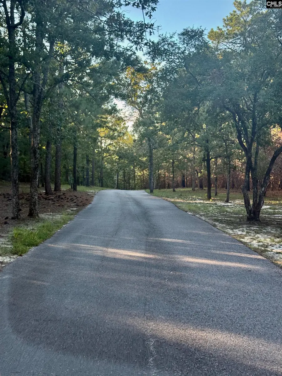 0 Edisto Lake Road, Wagener, SC 29164 - #3