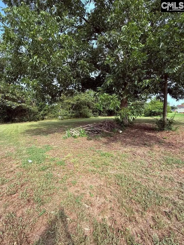 20 Inverness Court, Sumter, SC 29154 - #2