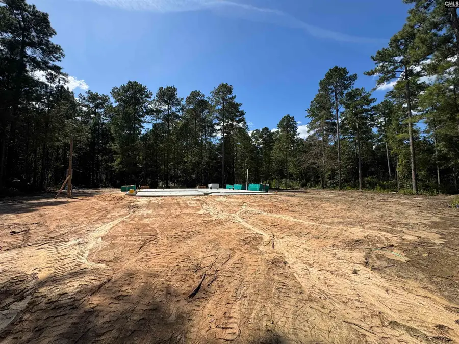336 Wendell Lane, Wagener, SC 29164 - #3