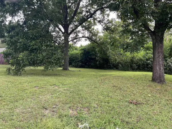 TBD Taylor Street, Newberry, SC 29108