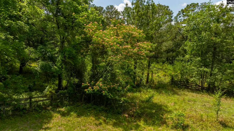 242 Sugar Loaf Road, Gaston, SC 29053 - #2