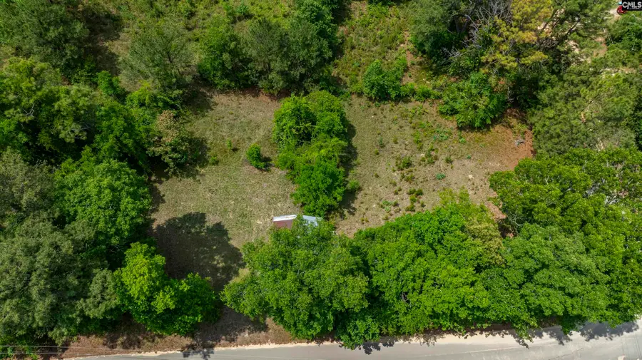 242 Sugar Loaf Road, Gaston, SC 29053 - #3