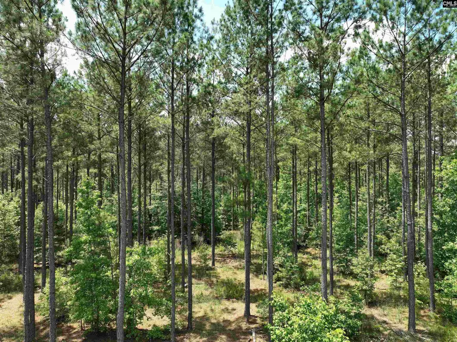 TBD Elford Grove, Jonesville, SC 29353 - #2